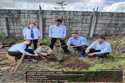 Tree Plantation and Environmental Awareness