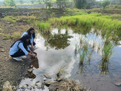 Water sampling and analysis